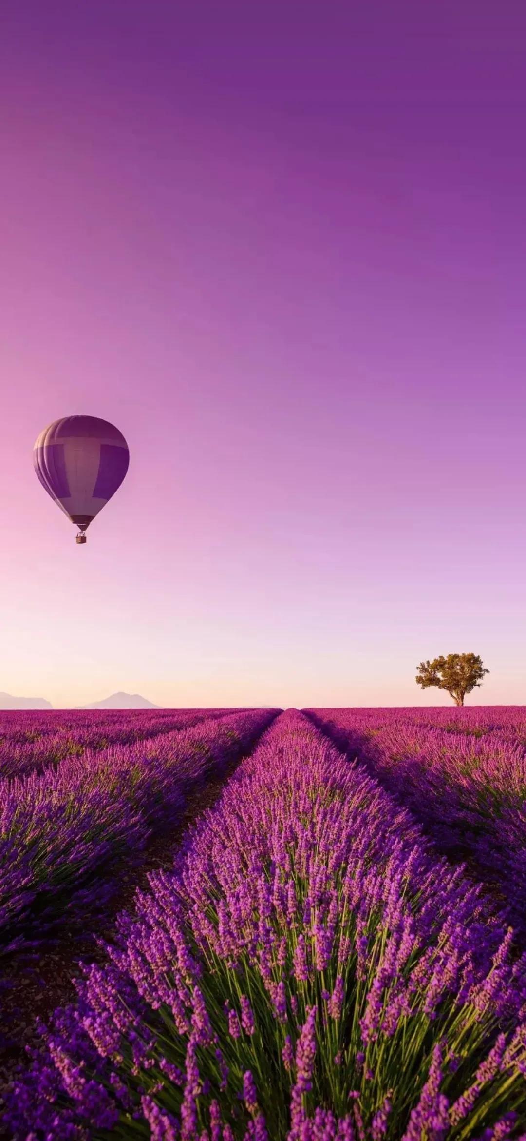 好看的手机壁纸美景,清晰到极致的风景手机壁纸