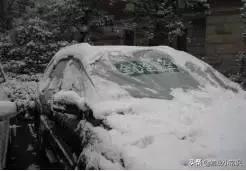 物业人文关怀服务,物业亲情化服务方案