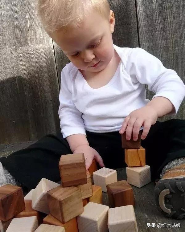 蜂蜡树蜡的区别,木蜡和蜂蜡哪个好