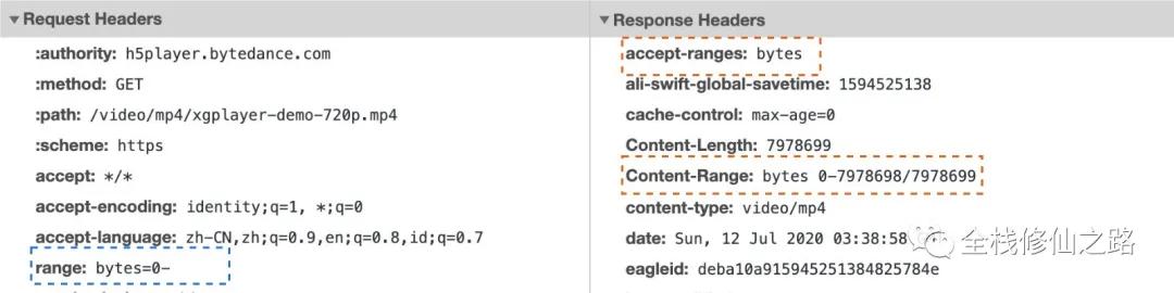前端video插件,玩转视频软件