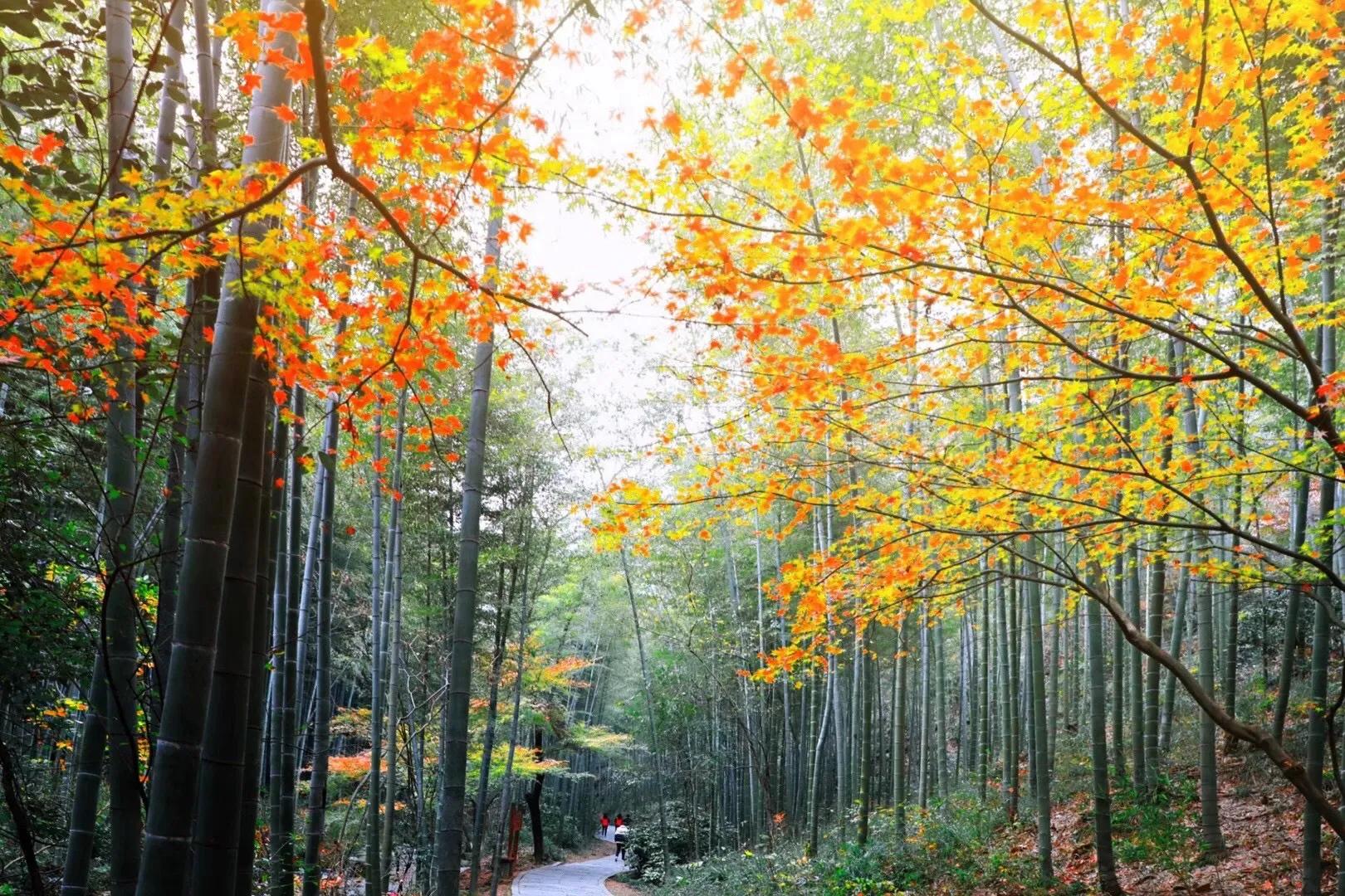 微商为什么会崩盘,微商是一种什么商业模式