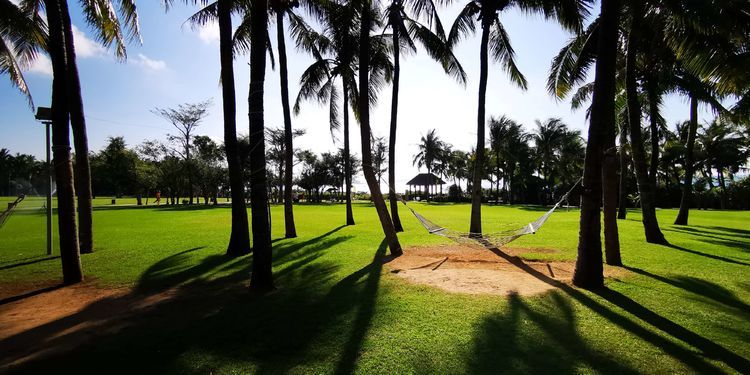 三亚红树林有亲子活动,三亚红树林和海韵