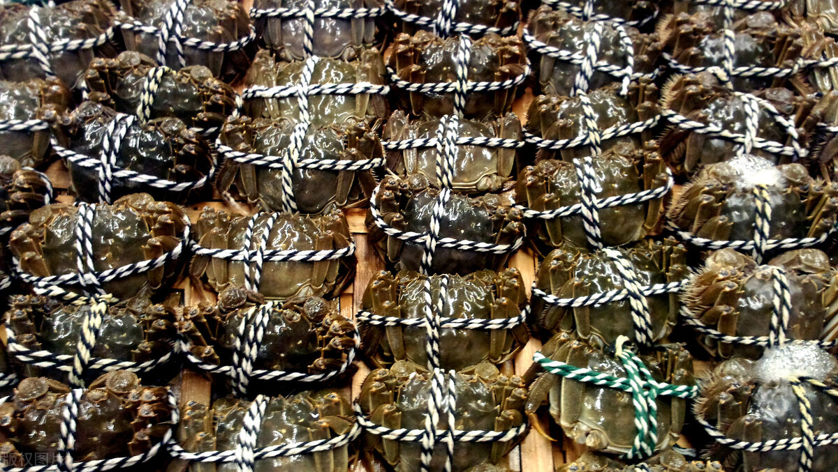 进贤好吃美食排行榜,进贤最有名气的美食和特产