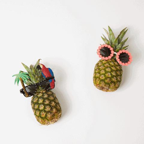 湛江菠萝海在哪个地方,湛江的菠萝海在哪里