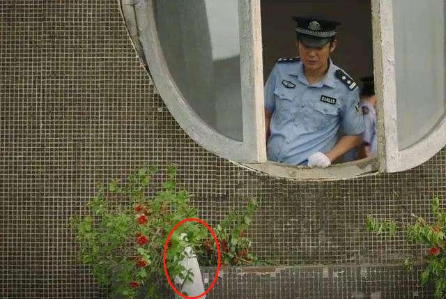 2020没人看好的国产良心悬疑剧,印度神剧隐秘的角落