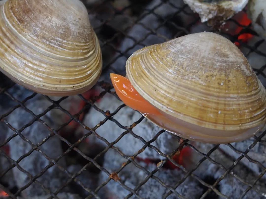 蚬子蛏子蛤蜊什么区别,长条的蛤蜊蛏子叫什么