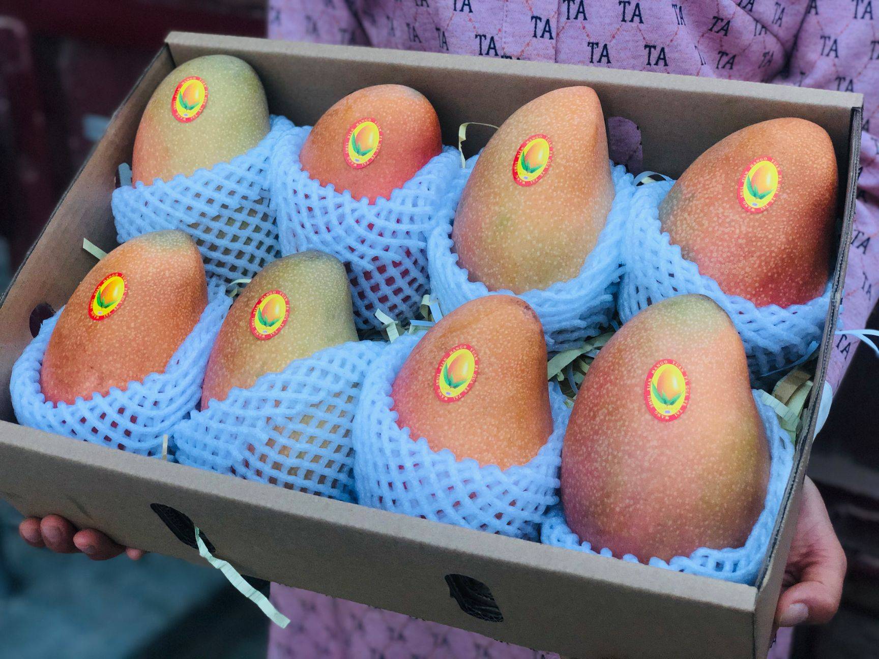 贵妃芒大青芒金煌芒选哪个,小台农芒果和贵妃芒哪个更好吃