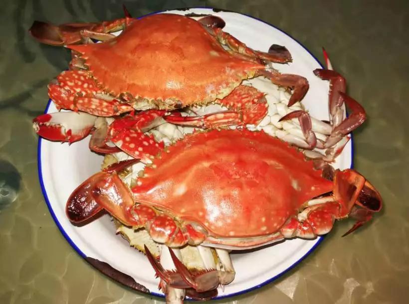 舟山流网大白鲳,淡水白鲳多少钱一斤