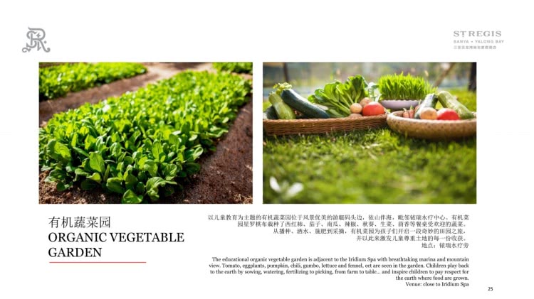 三亚高端酒店报价,海南三亚最贵酒店