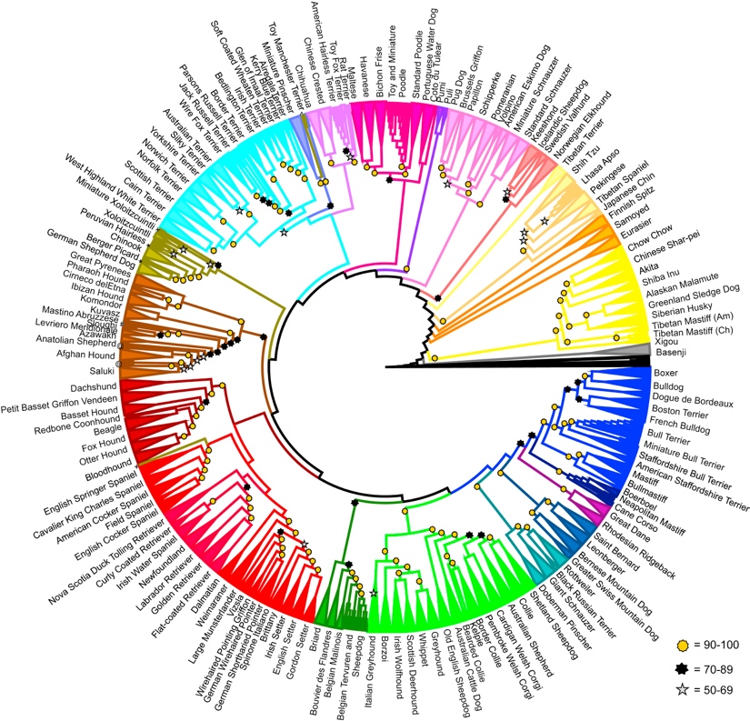 这种上古与人同葬的动物,还能帮你减肥、长寿?