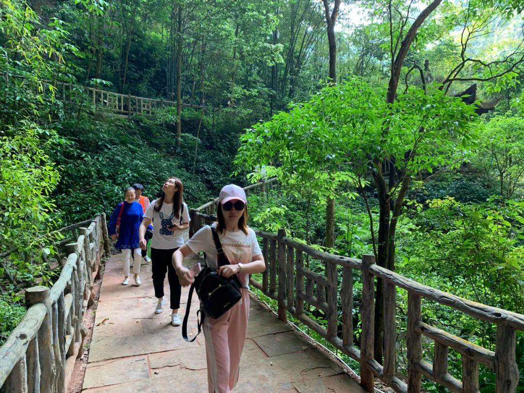 沐川竹海看雪,沐川竹海游玩视频