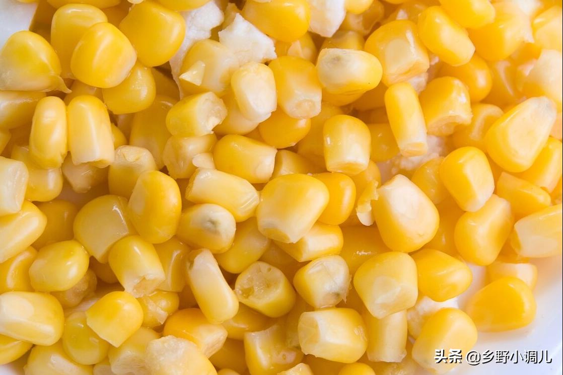 玉米喂鸡的窍门,玉米喂鸡绝招视频