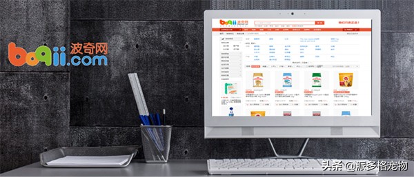 派多格宠物南京,派多格宠物学习美容多少钱