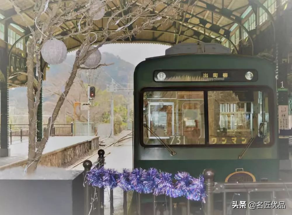 20岁少年建“猫猫寺”，和尚住持全是猫咪，网友：不敢撸不敢吸