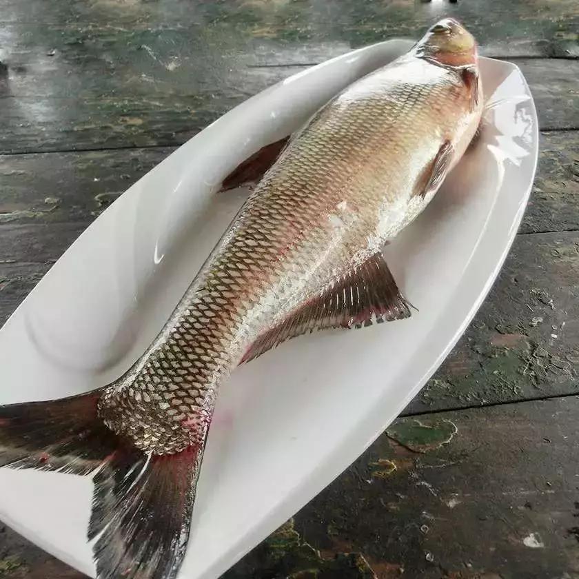 孝感的特产有哪些,孝感农产品特产有机食品