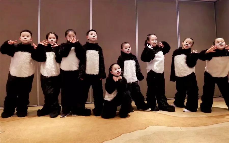 武侯区棕北西区小学好不好,武侯区弟维小学和棕北小学哪个好