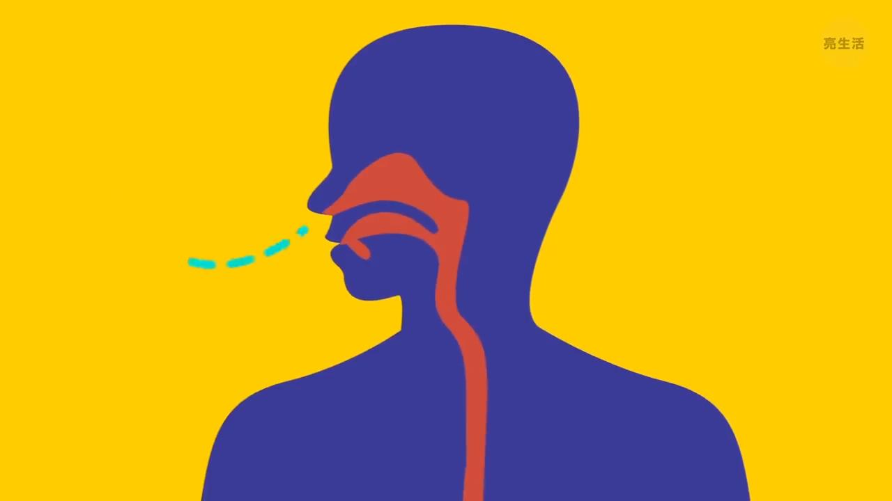关于人体，大多数人还不知晓的15个事实