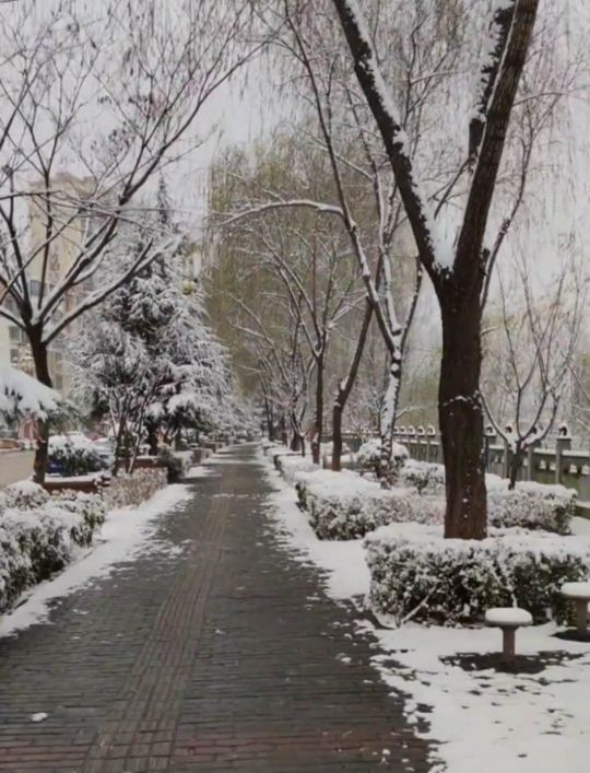 如果在洛南遇见你