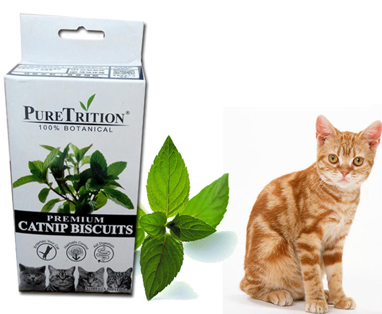 家有喵哥汪弟,体验好物帮你挑