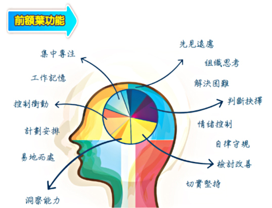 大脑注意力不集中是缺乏什么营养,孩子注意力不集中大脑神经元发育