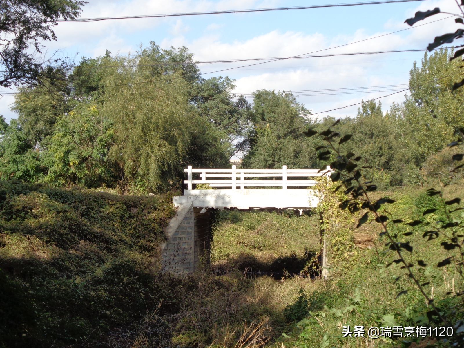 沈北新区依路村,沈北新区马刚乡地图