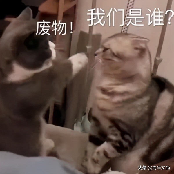 开心一刻|我有好多好多钱,不过它们都是一毛一毛的