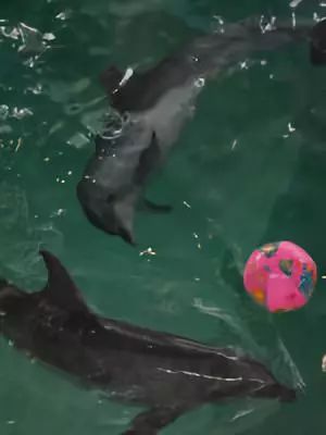 韩国旅游攻略5-6月天气,去韩国首尔旅游攻略最新版