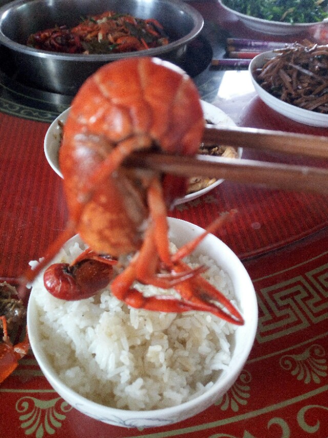 家里没矿，有池塘！湖北农村人家吃小龙虾大餐，网友直呼太壕了！