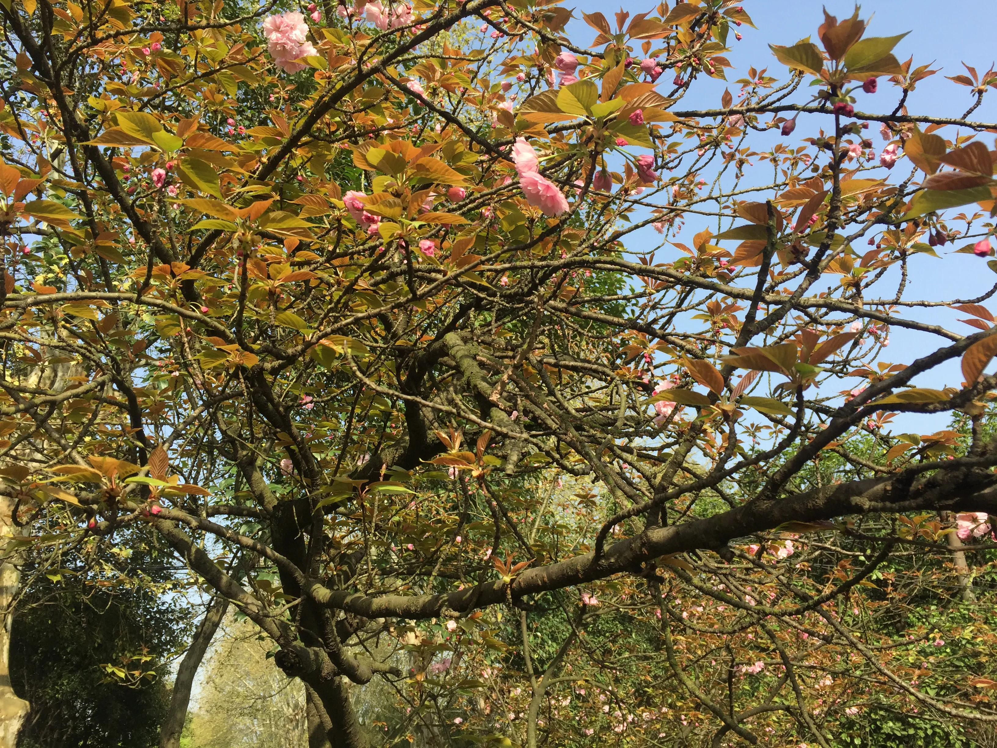 神农公园游览图怎么画简单,神农公园游乐场关门时间