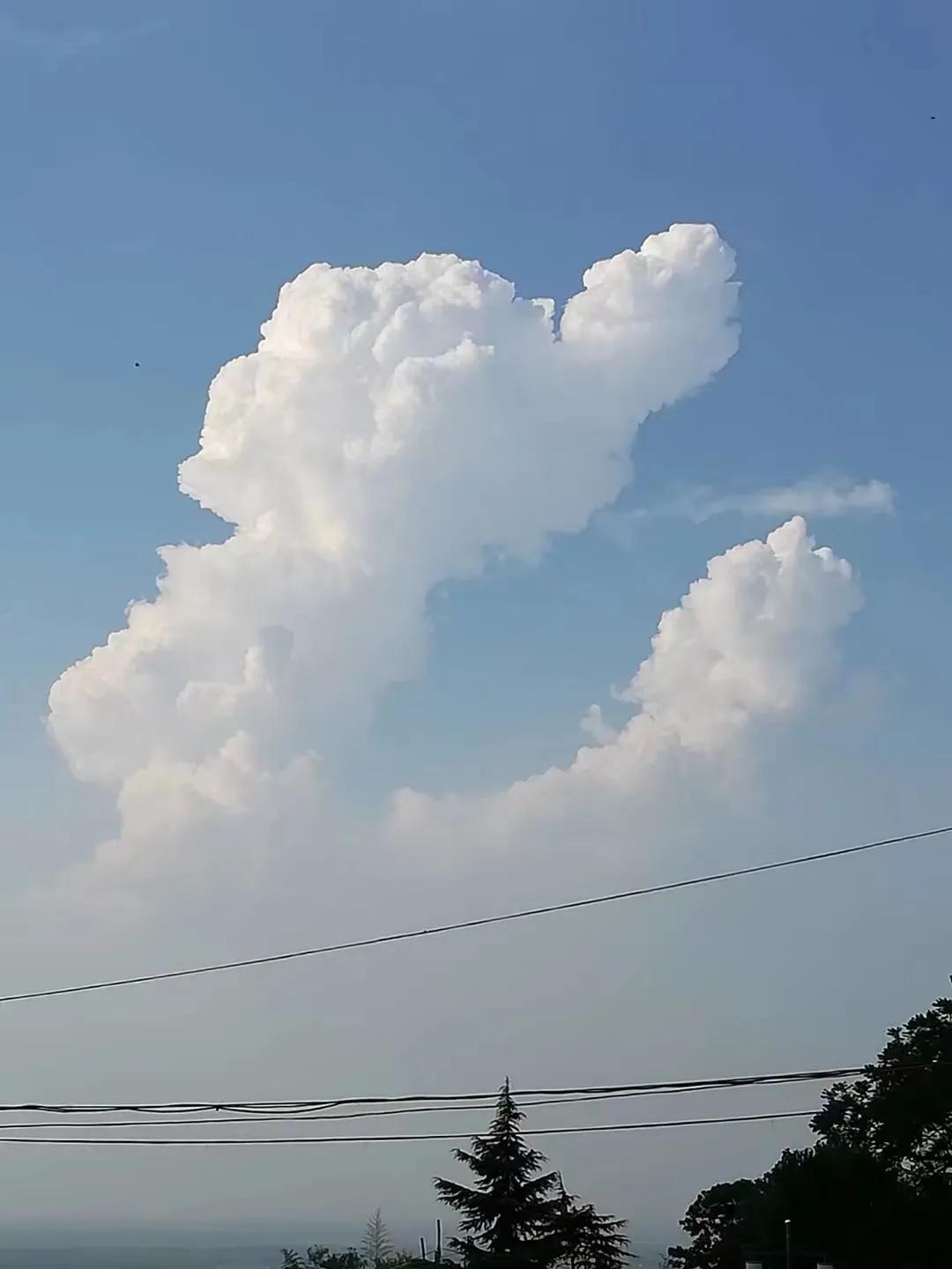 少华山一日游攻略报团,少华山一日游最佳攻略