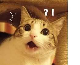 如何挑选适合的美瞳,美瞳怎么选合适的直径