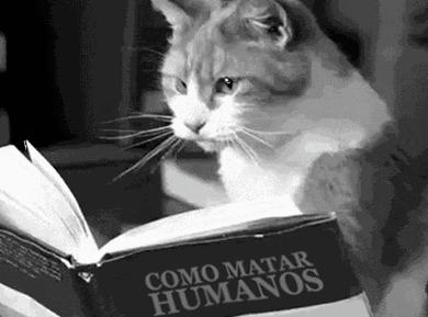 林允帮闺蜜辟谣反被群嘲,什么时候才能改改猪队友体质...