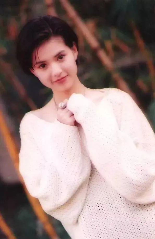 神雕侠侣主演时隔24年重聚,神雕侠侣详情