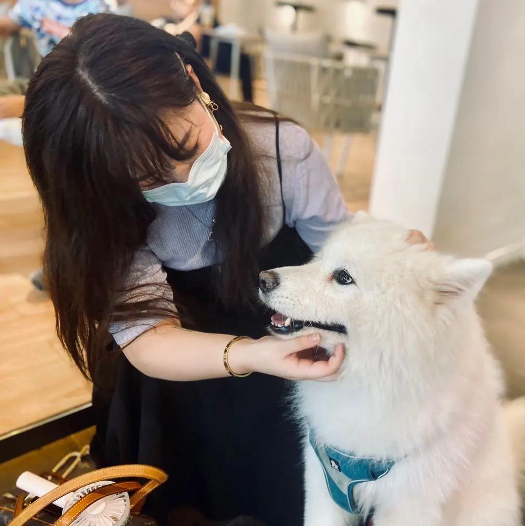 抚纹精华液跟细肤水哪个先用,紧致抚纹精华水适合什么年龄