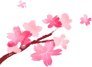 母亲节宫颈癌免费筛查,68岁有没有必要做宫颈癌筛查啊