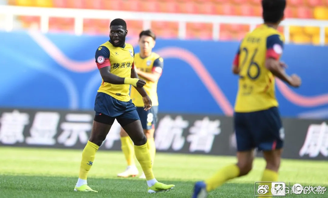 西北狼vs西伯利亚狼,西北狼vs犀牛