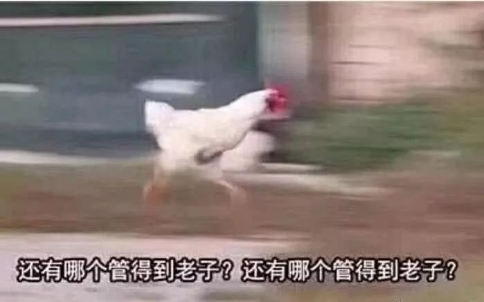 过年带给父母的礼物有哪些,过年送礼千万别送三样东西