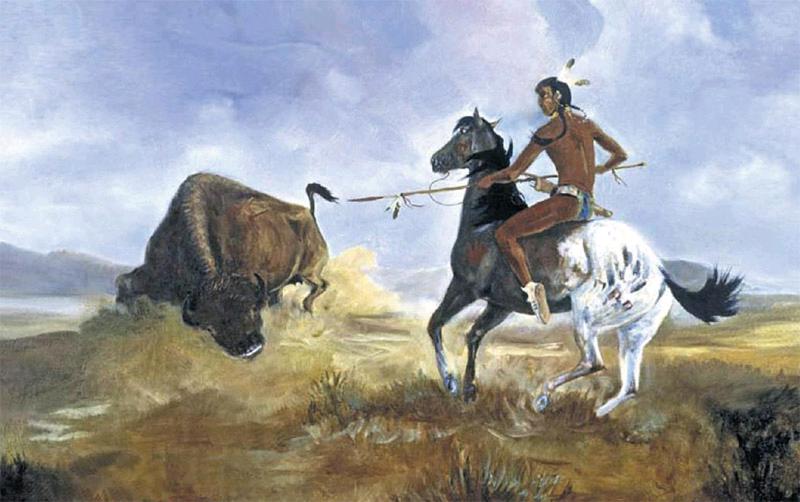 美洲野牛曾被“折腾”到濒临灭绝,北美野牛灭亡了吗