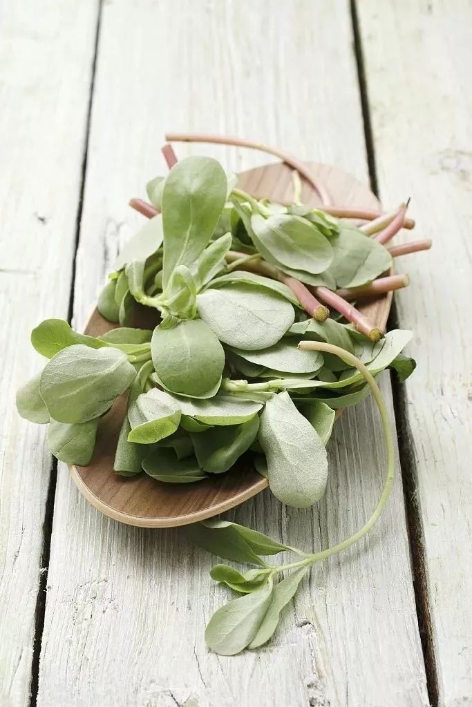 中药不能和饭一起吃但可以做药膳,可以当菜吃的中药