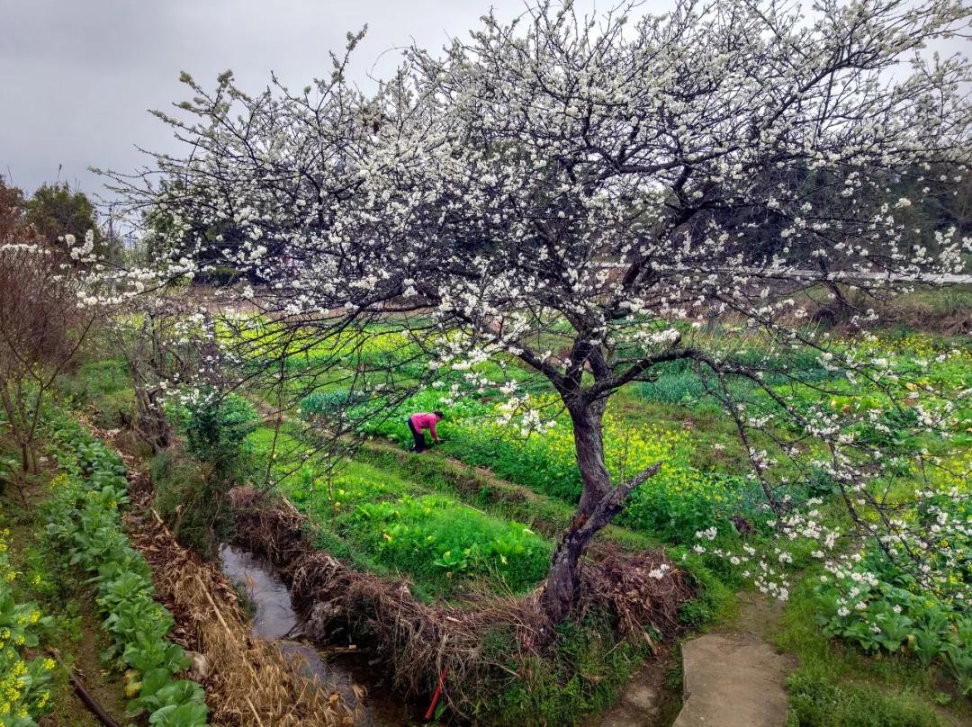 五一去哪里玩小众又景色美,贵州五一自驾小众