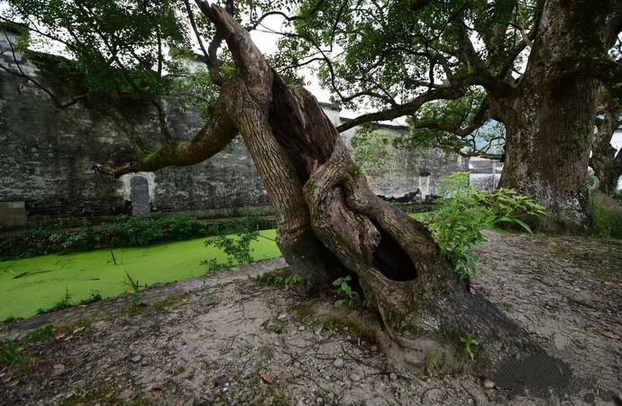 景德镇千年古镇瑶里,景德镇瑶里千年古镇拍照