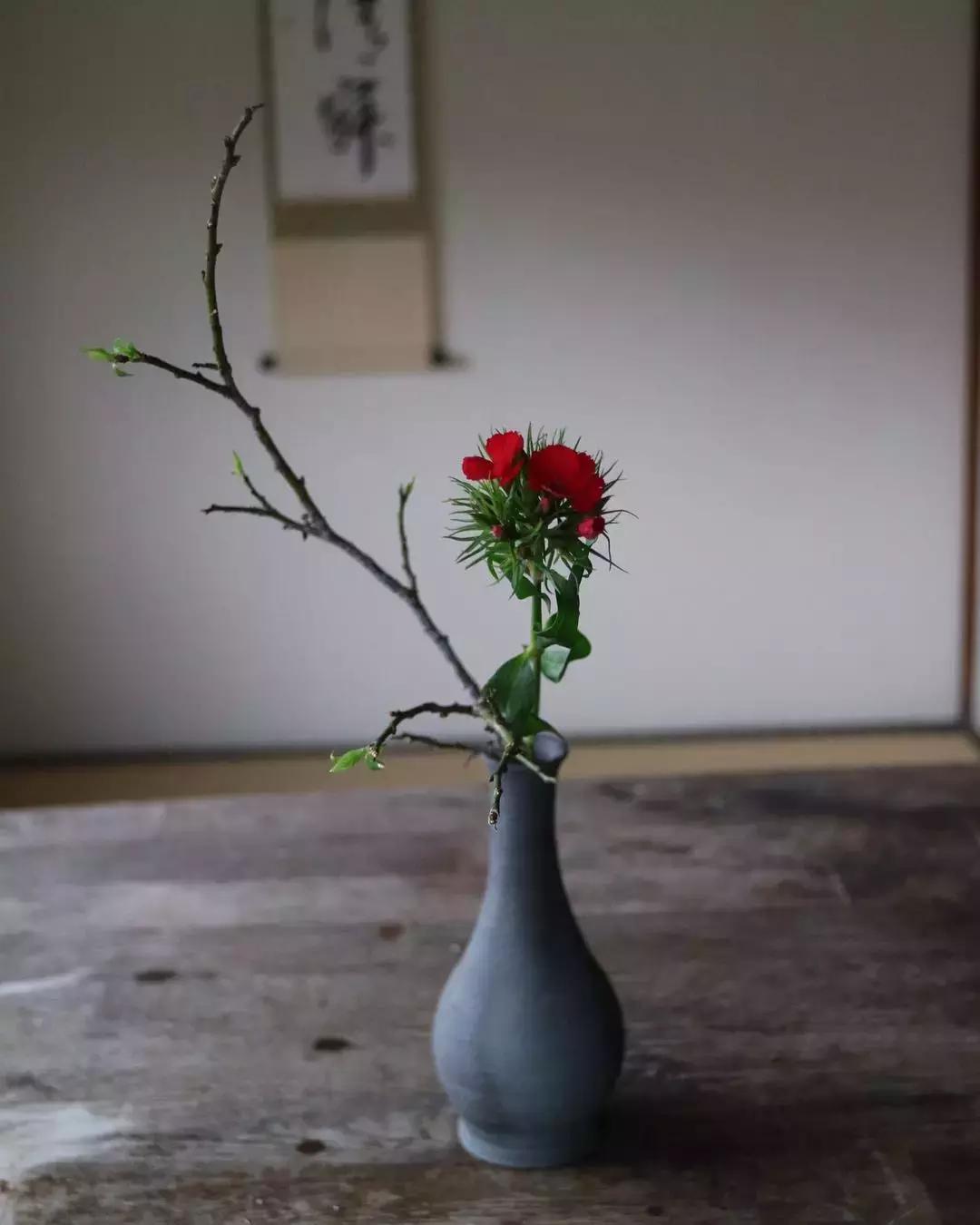 创意禅意插花月季盘花,禅意插花100例兰花