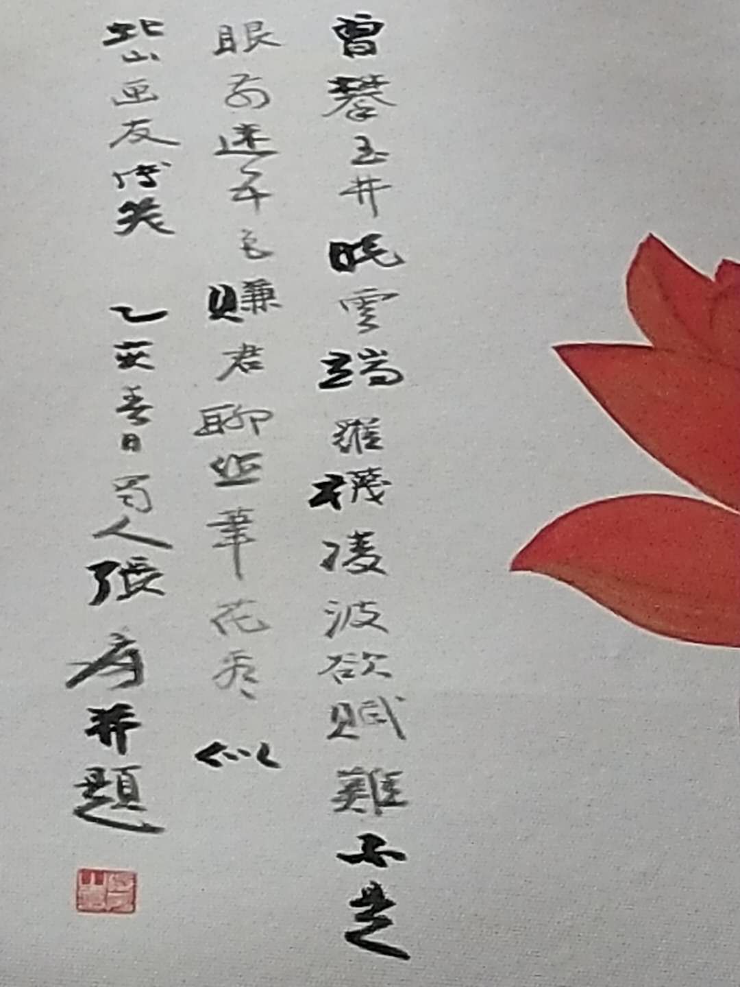 顶级荷花图,精品荷花品种大全