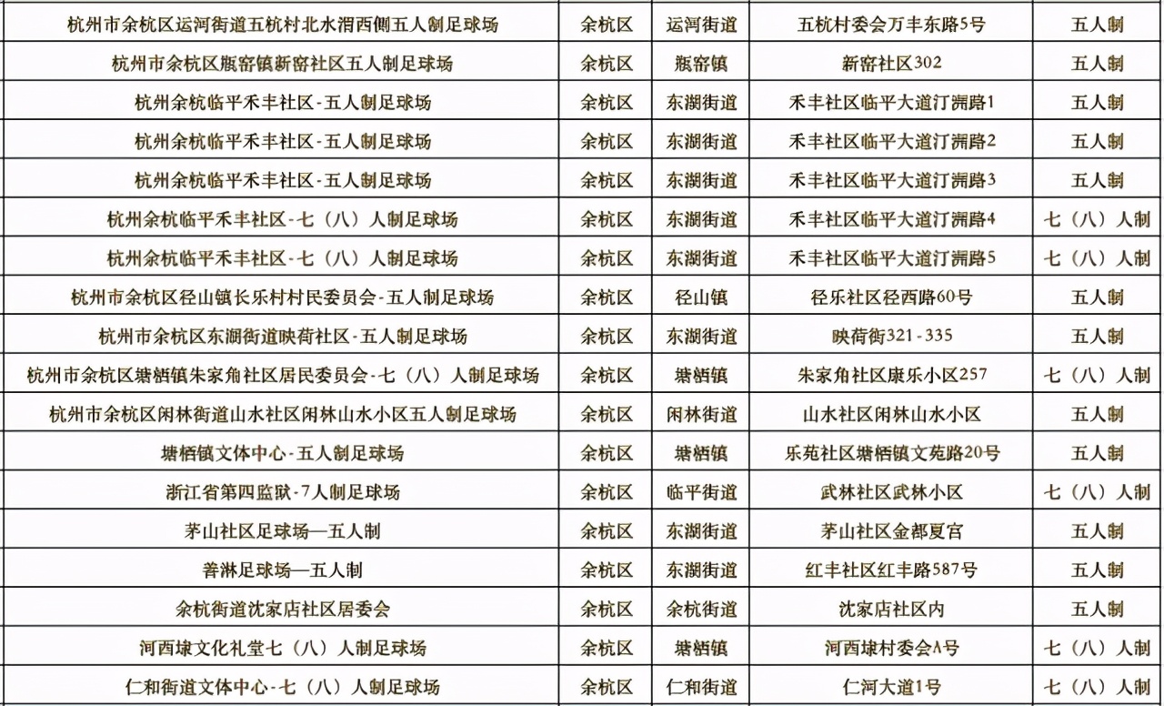 杭州亚运足球场地,杭州有没有标准的足球场