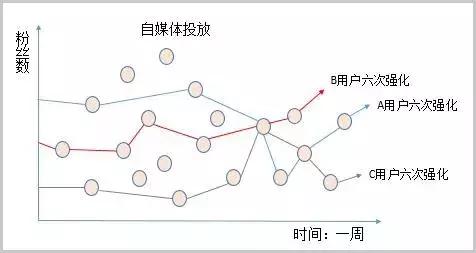 网红品牌是自带流量的吸金体 (网红品牌陷入流量坍塌困境)