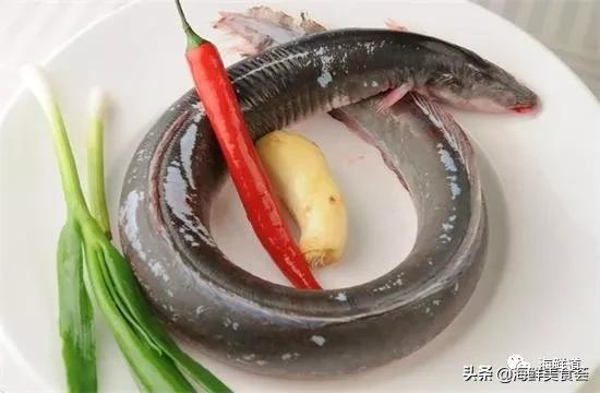 十种最美味海鲜,100种常见海鲜大全图