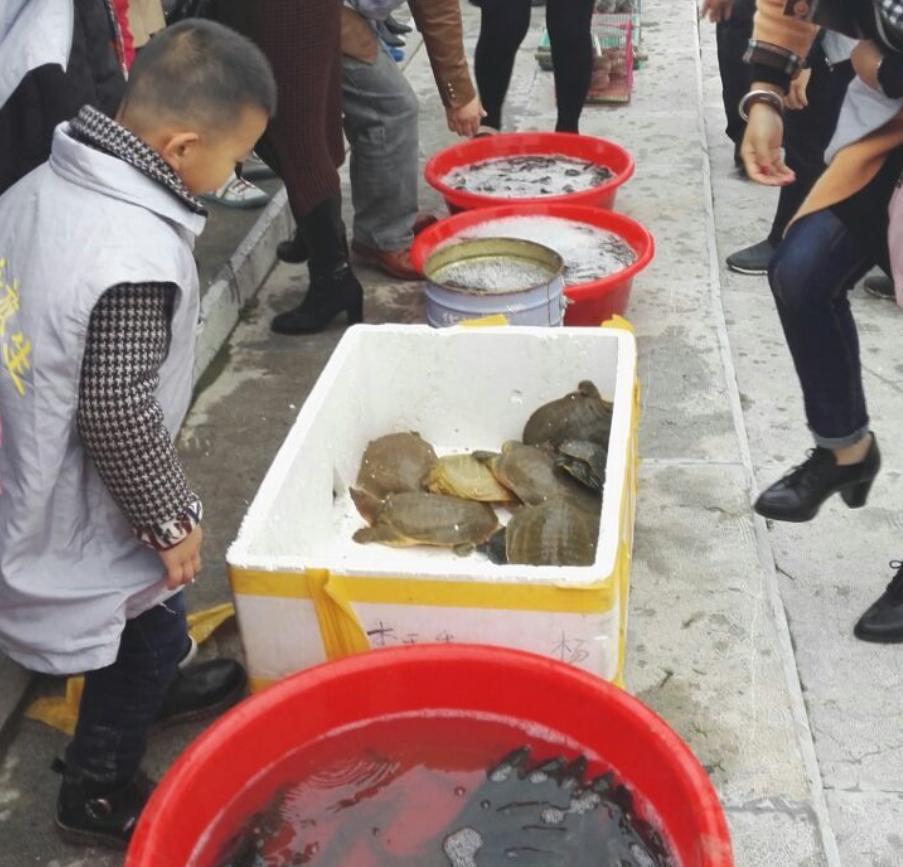 众人钓大鱼,一群人钓大鱼名场面