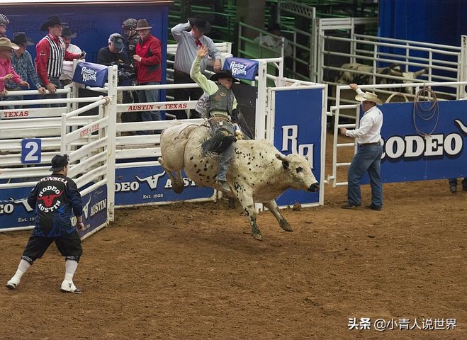 世界第一大牛奶出口国,全球三大牛奶排行榜