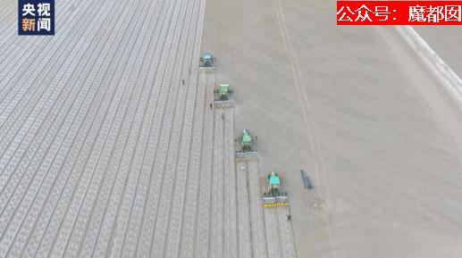 *辱侮**中国！HM、优衣库、ZARA、耐克、阿迪达斯等引公愤