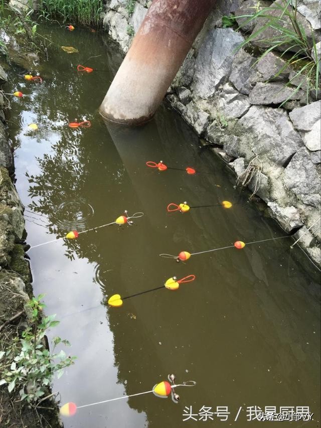 钓黄鳝老是脱钩什么原因,怎样钓黄鳝上钩快且不会脱钩